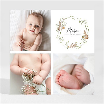 Remerciement naissance petits lapins