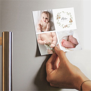 Remerciement naissance petits lapins - Mise en situation