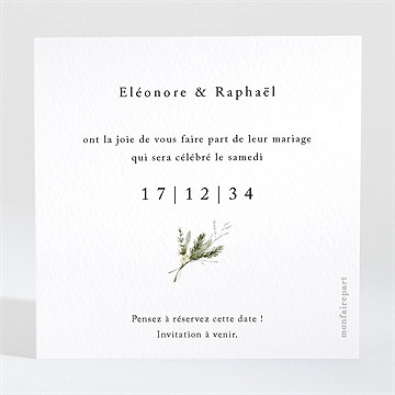 Save the Date mariage couronne d'hiver - Dos de la carte