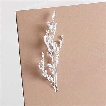Faire-part mariage engagés fleur séchée - Vue zoomée