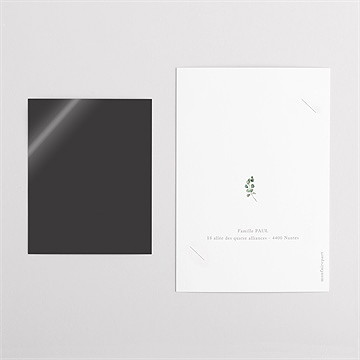 Faire-part de baptême l'eucalyptus duo - Dos du faire-part