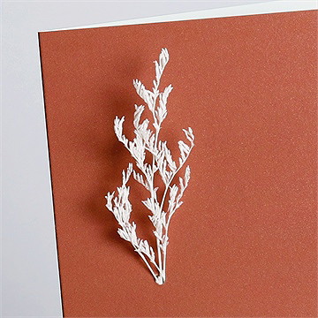 Faire-part mariage jolie esquisse fleur séchée - Vue zoomée