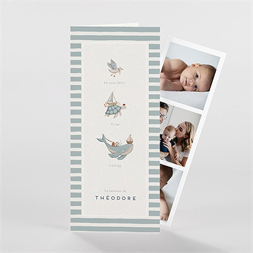 Faire-part naissance animaux marins - Vue d'ensemble