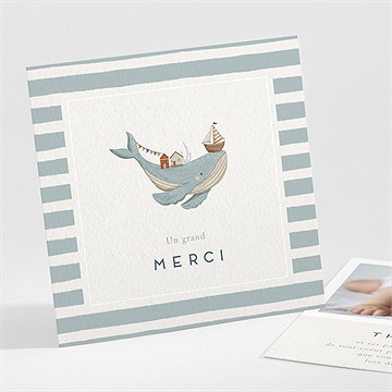 Remerciement naissance animaux marins