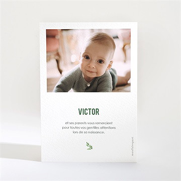 Remerciement naissance dinosaure - Dos de la carte