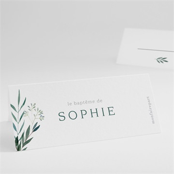 Marque-place baptême jolie annonce champêtre