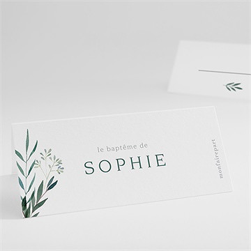 Marque-place baptême jolie annonce champêtre