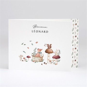 Faire-part naissance champignons