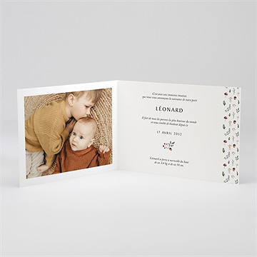 Faire-part naissance champignons - Intérieur du faire-part