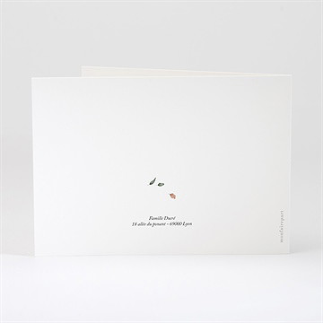 Faire-part naissance champignons - Dos du faire-part