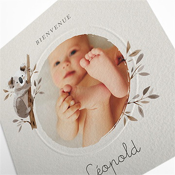 Faire-part naissance mon petit koala - Détail du faire-part