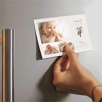 Remerciement naissance mon petit koala - Mise en situation