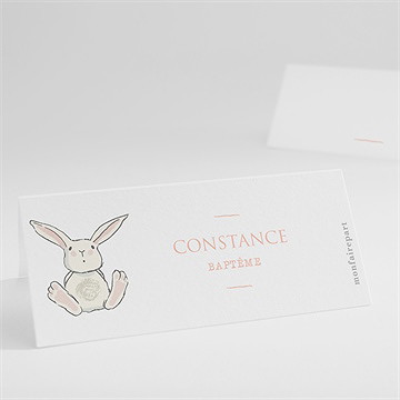 Marque-place baptême petit lapin baptême