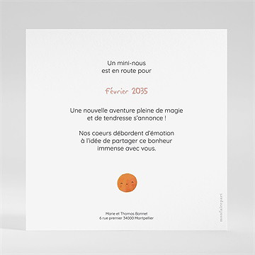 Carte annonce grossesse jeu - Dos du faire-part