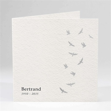 Faire-part décès l'envolée