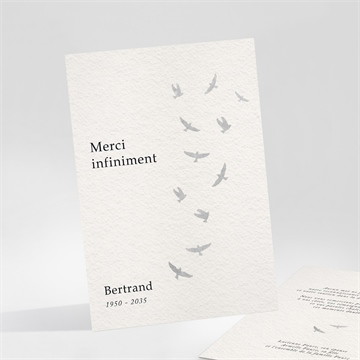 Remerciement décès l'envolée
