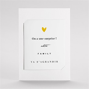Carte annonce grossesse la famille s'agrandit ! duo