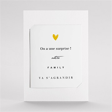 Carte annonce grossesse la famille s'agrandit ! duo