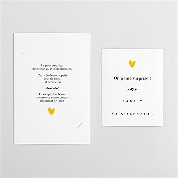 Carte annonce grossesse la famille s'agrandit ! duo - Vue d'ensemble