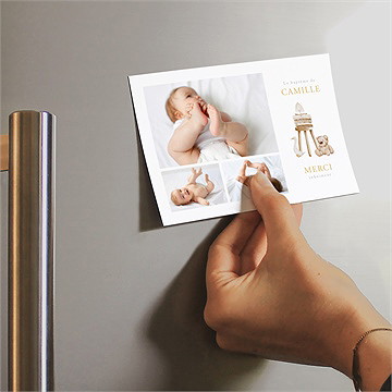 Remerciement baptême ours marin - Mise en situation