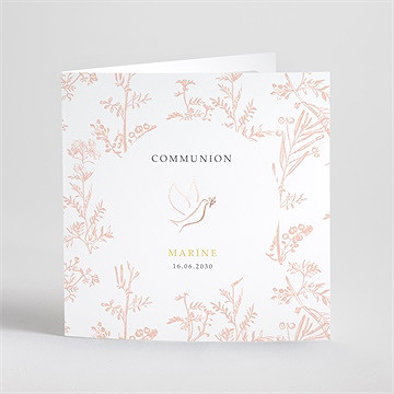 Faire-part communion gravures végétales dorure
