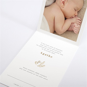 Faire-part naissance bébé koala - Intérieur du faire-part