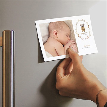 Remerciement naissance bébé koala - Mise en situation