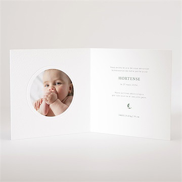 Faire-part naissance koala jungle - Intérieur du faire-part