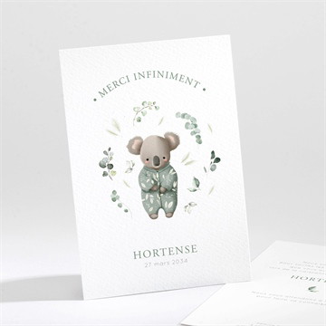 Remerciement naissance koala jungle