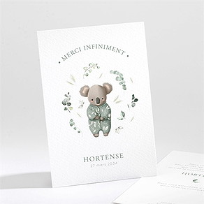 Remerciement naissance koala jungle