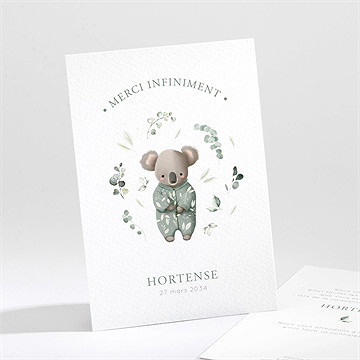 Remerciement naissance koala jungle