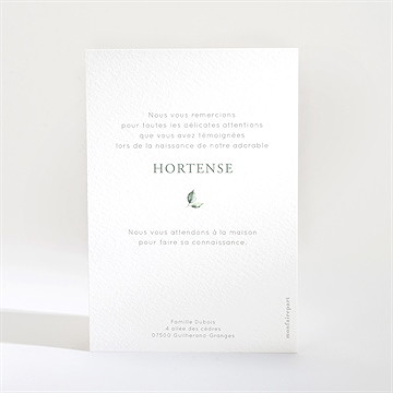 Remerciement naissance koala jungle - Dos de la carte