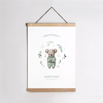 Affiche naissance koala jungle
