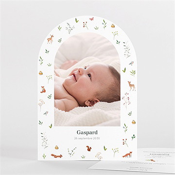 Faire-part naissance gaiement arche