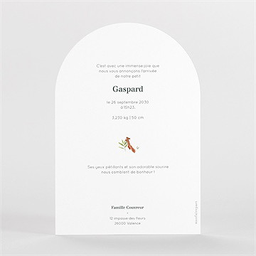 Faire-part naissance gaiement arche - Dos du faire-part