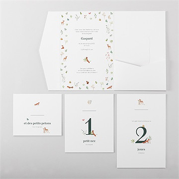 Faire-part naissance gaiement pocketfold - Vue d'ensemble intérieur