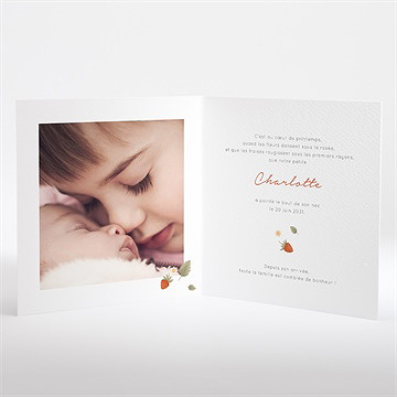 Faire-part naissance fraises acidulées - Intérieur du faire-part