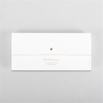 Faire-part naissance fraises acidulées pochette duo - Dos du faire-part