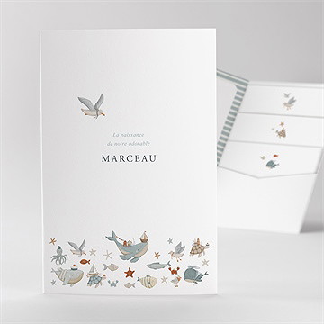 Faire-part naissance mon amie la baleine
