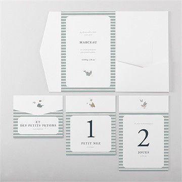 Faire-part naissance mon amie la baleine - Vue d'ensemble intérieur