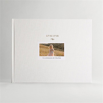 Livre d’or délicatesse