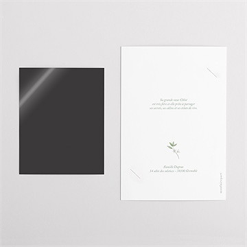 Faire-part naissance motif fruité duo - Dos du faire-part