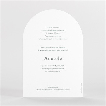 Faire-part naissance adorables pictos arche - Dos du faire-part