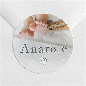 Sticker naissance adorables pictos