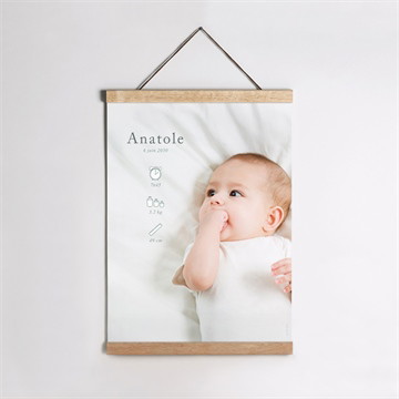 Affiche naissance adorables pictos