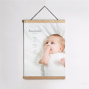 Affiche naissance adorables pictos