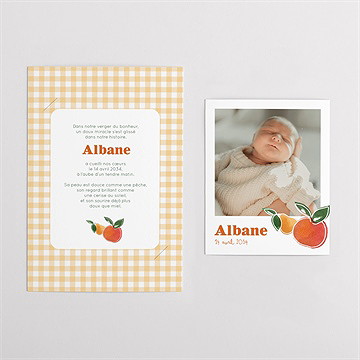 Faire-part naissance vichy fruité duo - Vue d'ensemble