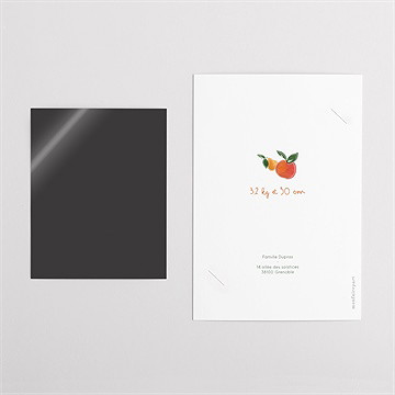 Faire-part naissance vichy fruité duo - Dos du faire-part