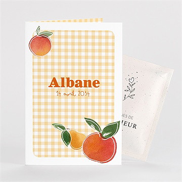 Faire-part naissance vichy fruité avec graines