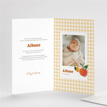 Faire-part naissance vichy fruité avec graines - Intérieur du faire-part